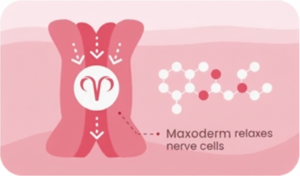 Maxoderm Trains Your Response